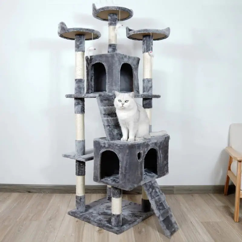 Casa y Escalador para Gatos